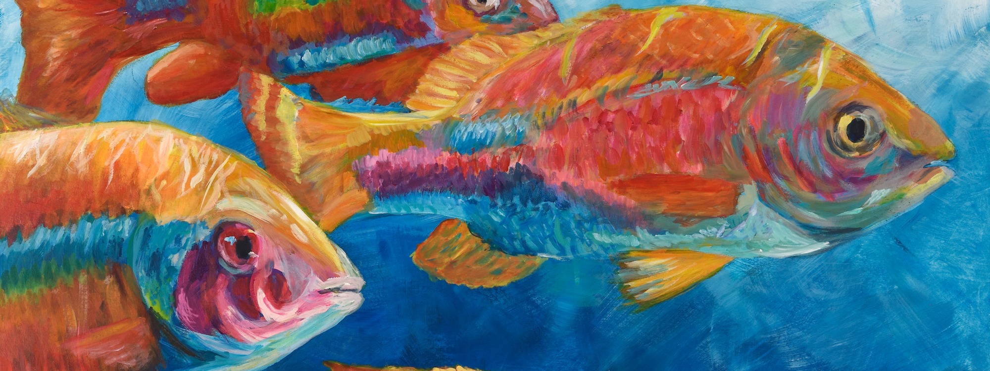 Header Image 2